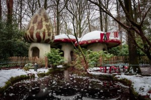Efteling kondigt renovatie paddenstoelenparcours aan