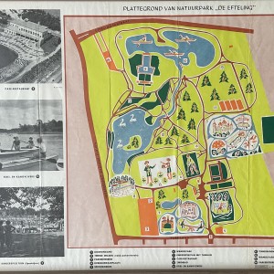 1954 (v2)