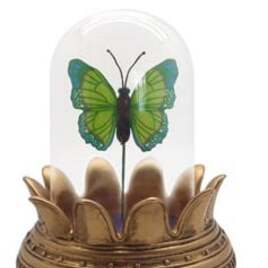 Symbolica Vlinder groen