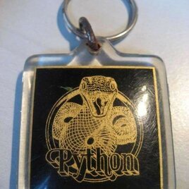 Sleutelhanger Python