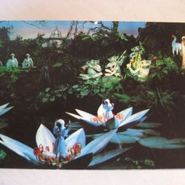 Postkaart Indische Waterlelies