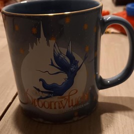 Droomvlucht de Musical Mok