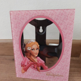 Fotolijst assepoester