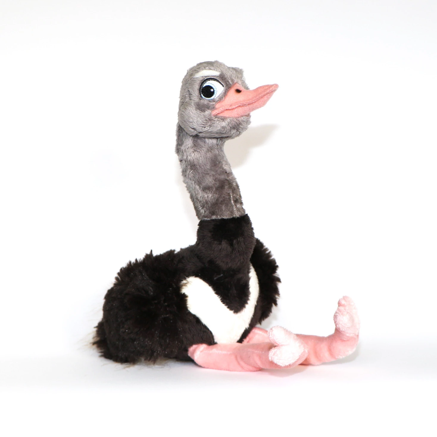 Struisvogel