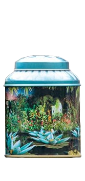 Theeblik De Indische Waterlelies
