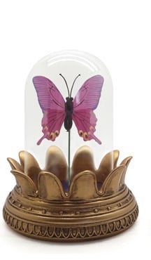 Symbolica Vlinder roze
