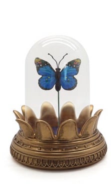 Symbolica Vlinder blauw