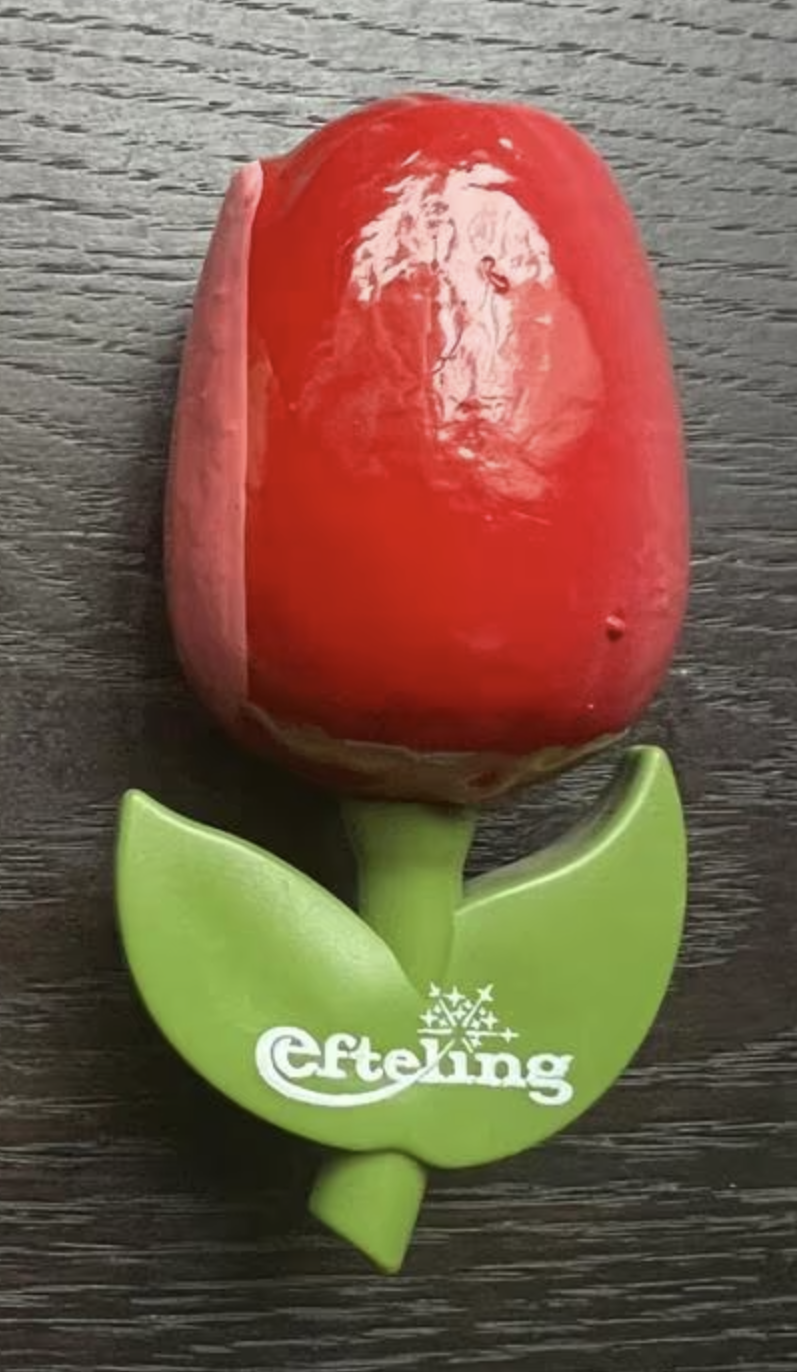 Tulp Magneet Rood