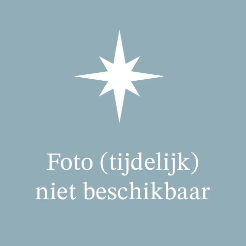 Negen Pleinen Festijn 2016